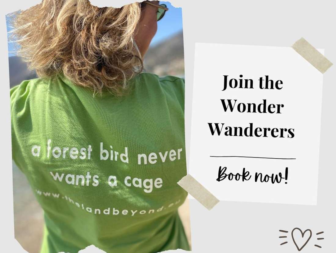 The Wonder Wanderers