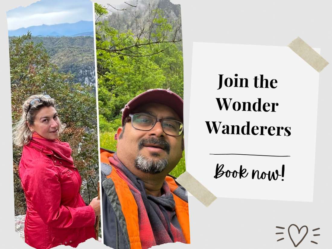The Wonder Wanderers IV