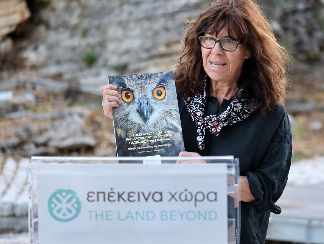 16η Διάβαση Βίκου – Ασφαλής Ζωή