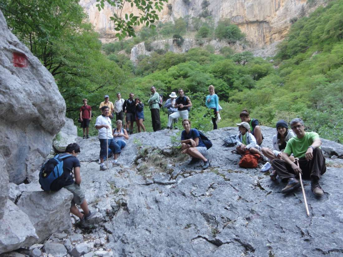 Το ξύλο βγήκε από τον... Βίκο