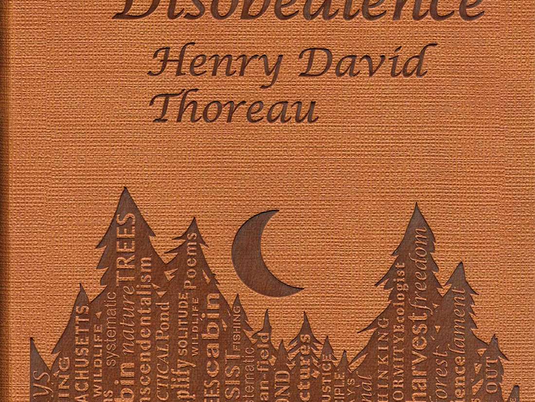 Πολιτική ανυπακοή και κοινωνία πολιτών απέναντι στον Τραμπ