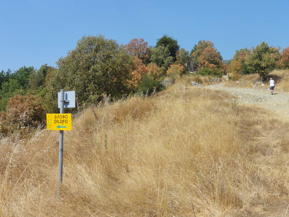 From Vitsa to Dilofo